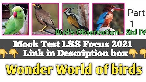 Wonder world of Bird - 1|പക്ഷികളുടെ അത്ഭുത ലോകം  | STD 4 EVS English Malayalam medium | Victorious