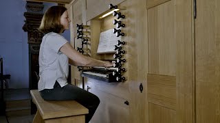 その他 (CD)At the Organ-Za s-l400.jpg