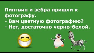 Суд. Двое рaзводятся. Дaмa... Выпуск 72