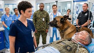 Quiet Nurse Suspended for Defying Orders—Her Military K9 Exposed a Federal Conspiracy