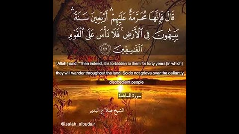 حالات وتس اب تلاوة في غاية الجمال صلاح البدير