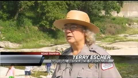 CORALVILLE: Denovian Fossil Gorge