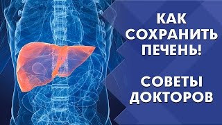 Как сохранить печень | Лечение печени | Диагностика заболеваний печени | Советы докторов Как сохранить печень | Лечение печени | Диагностика заболеваний печени | Советы докторов
