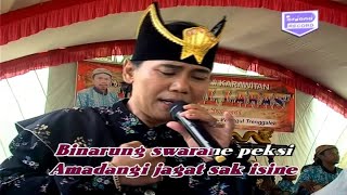 Nawolo Wiso - Jithul S - Mbledose Gunung Kelud - Sri Sunarmi