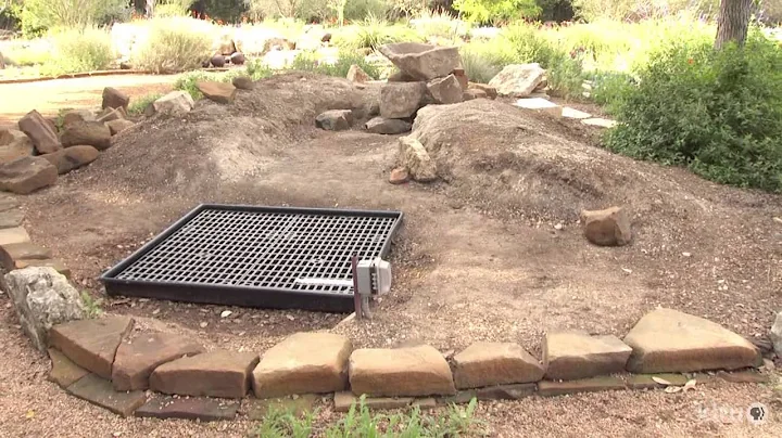 Lawn to habitat garden |Mary Lew & David Quesinberry | Central Texas Gardener