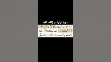 سورة البقرة  من (42 - 43) |القارئ الشيخ : سعد الغامدي#سعدالغامدي #القران_نور_حياتي #القرآن_حياة