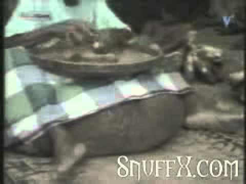 The Worlds Biggest Balls. - YouTube