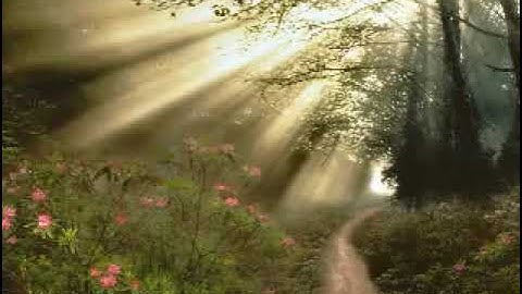 سوره البقره مده 15 دقيقه اسمعا ماهر المعيلقي