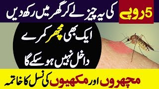 How To Get Rid of Mosquitoes Bites | Mosquito Bite Treatment