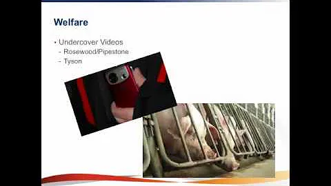 Dr. Tim Loula - PRRS ARC and Beyond: Applying the Principles of PRRS Control