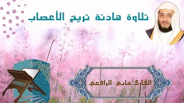 تلاوة هادئة تريح الأعصاب | القارئ هاني الرفاعي | حالة واتساب | Short Clip Quran | ASWAAT