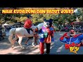 NAIK KUDA PONI 🦄 BADUT JOGET di kawasan cars free days GOR BIMA cirebon | horse little pony