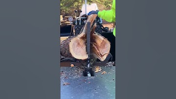 Amazing Firewood Processing Machine #shorts #woodwork #viral #woodsplitter #skills