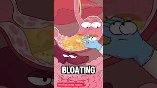 Overeating: A Hidden Risk for Your Pancreas.  #animation