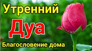 Утренний Дуа. Дуа Каждое Утро