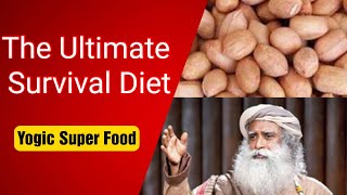 Sadhguru - Yogic #Superfood - The Ultimate Survival Food | Spiritual Seekers