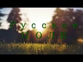 Русское поле