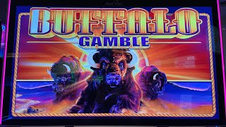 EXCITING NEW BUFFALO GAME! Buffalo Gamble Max Bet Slot Machine at Palace Station Casino in Las Vegas