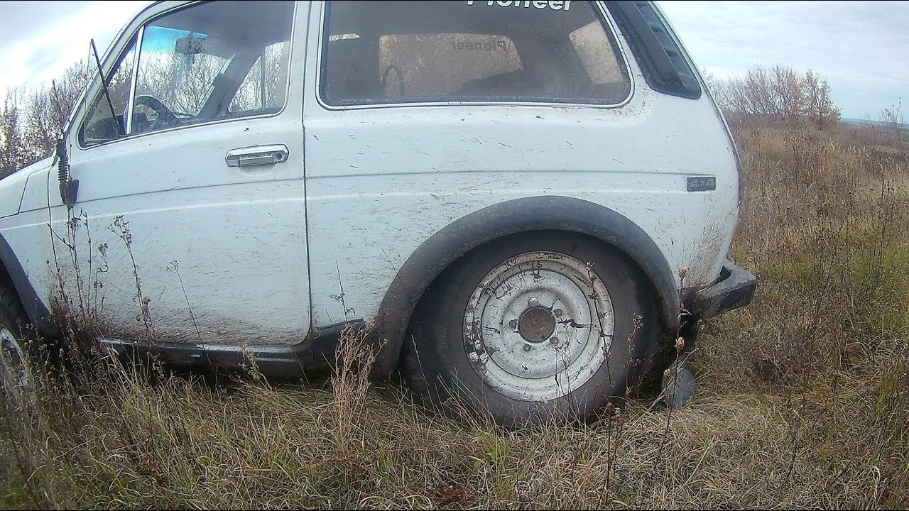 ⁣Укус змеи на Копе металла