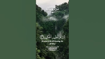فَصَبْرٌ جَمِيلٌ ۖ عَسَى اللَّهُ أَن يَأْتِيَنِي بِهِمْ جَمِيعًا 😥💖 #سورة يوسف #عبدالعزيز سحيم