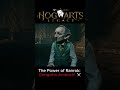Hogwarts Legacy | The First Encounter