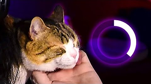 Cat is The Best loading screen mini-game