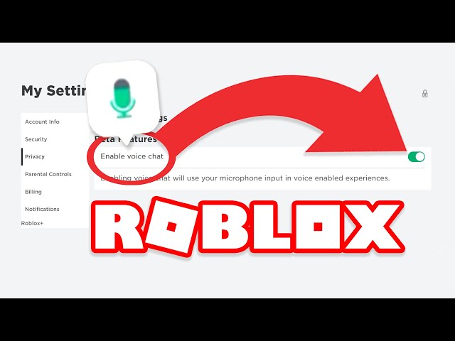 How To Get Roblox Voice Chat (Full Guide)