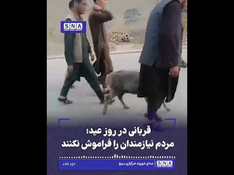 خبرگزاری سریع 24 قربانی در روز عید؛ مردم نیازمندان را فراموش نکنند