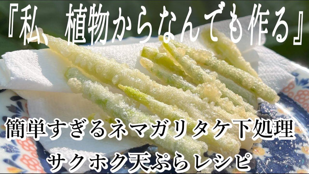 初心者はまず見て】根曲がり竹の採取、下処理、食べ方大公開｜ピーラー