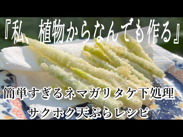 初心者はまず見て】根曲がり竹の採取、下処理、食べ方大公開｜ピーラー