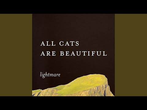 All Cats Are Beautiful