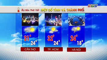 Dự báo thời tiết TP. Cần Thơ tối 23/1/2025 | THTPCT