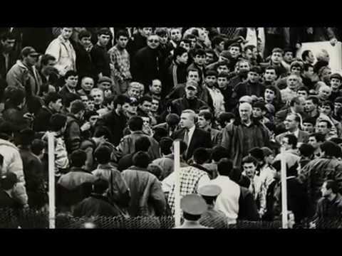 თეთრები