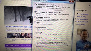 2014- Internet Explorer: How to Delete Browsing History