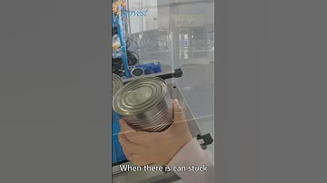 Double head servo automatic canned food seaming machine supplier