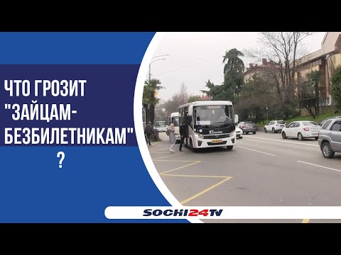 В автобусах Сочи работают контролеры