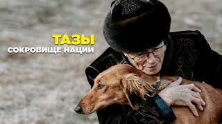 Тазы. Сокровище нации | Документальный фильм