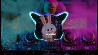 DJ Rabbit Tik tok viral