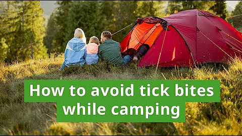 How to  Prevent Ticks While Camping