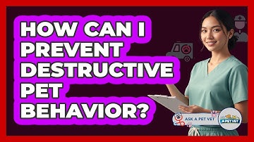 How Can I Prevent Destructive Pet Behavior? - Ask A Pet Vet