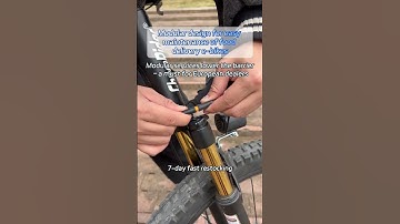 Modular Design E-Bikes for Food Delivery | Easy Maintenance & Lower Barriers for European Dealers