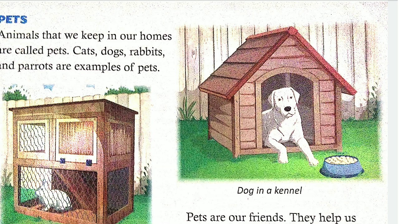 Part 6 of the chapter3 explanation of pets class 2V YouTube