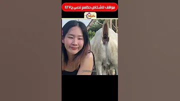 مواقف لاشخاص حظهم نحس ج427 