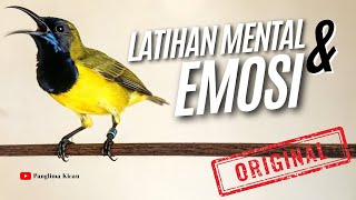 Sogon Langsung Keluar Mental Dan Emosi jos jis #pancingansogon #sogonngobra #sogonmania #sogon