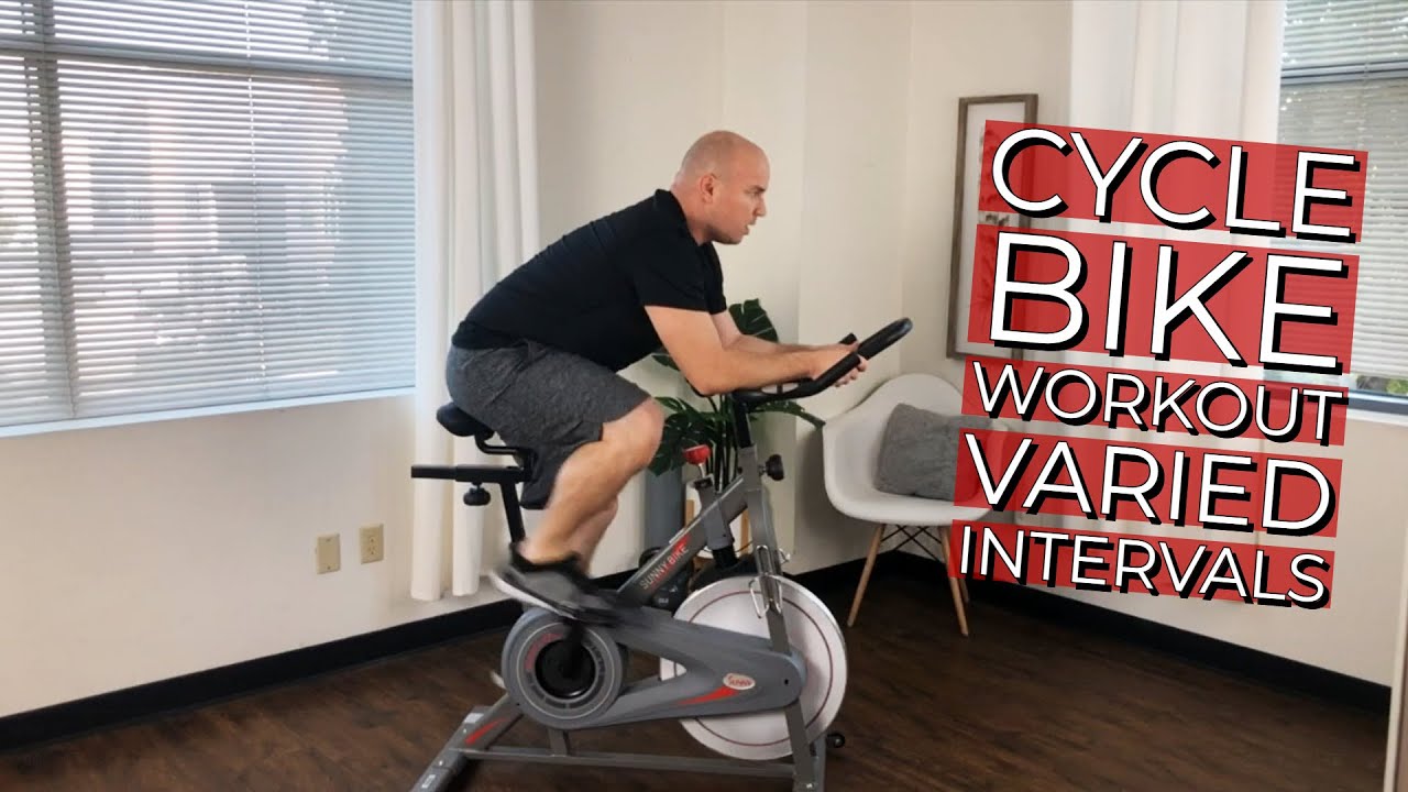 sunny health and fitness bike instructions