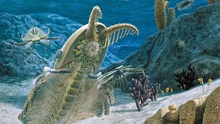 Anomalocaris - One Of Most Terrifying Sea Monsters To Have Ever Lived