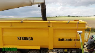 Stronga BulkLoada BL800 auf der Ernte - Traktor und landwirtschaftlicher Anhänger