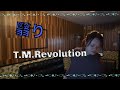 翳り    T.M.Revolution   《リクエスト曲》