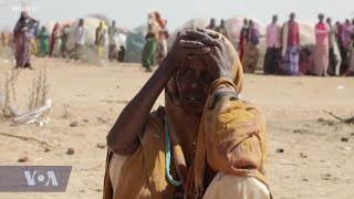 Somali Aid Group Requests Urgent Aid to Assist with Humanitarian Crisis