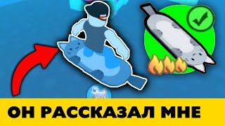 НАЙДЕН ОБЛАДАТЕЛЬ КОШАЧЬЕГО ХОВЕРБОРДА в Pet Simulator X! - реальная история